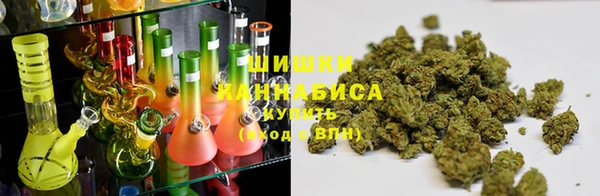 ГАЛЛЮЦИНОГЕННЫЕ ГРИБЫ Киренск
