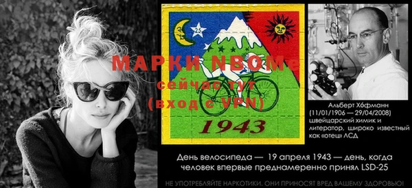 стафф Киреевск